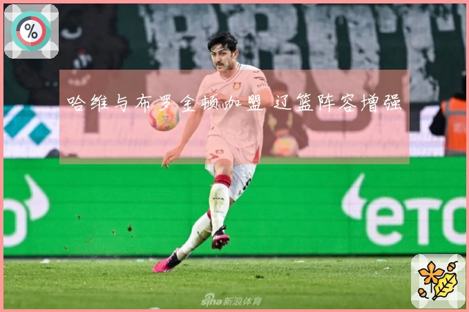 哈维与布罗金顿加盟 辽篮阵容增强
